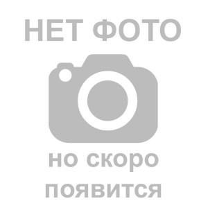 Рудакова Елена Евгеньевна Рудакова Елена Евгеньевна